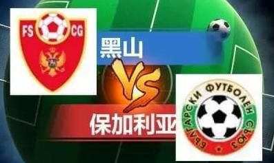 成人激情视频在线