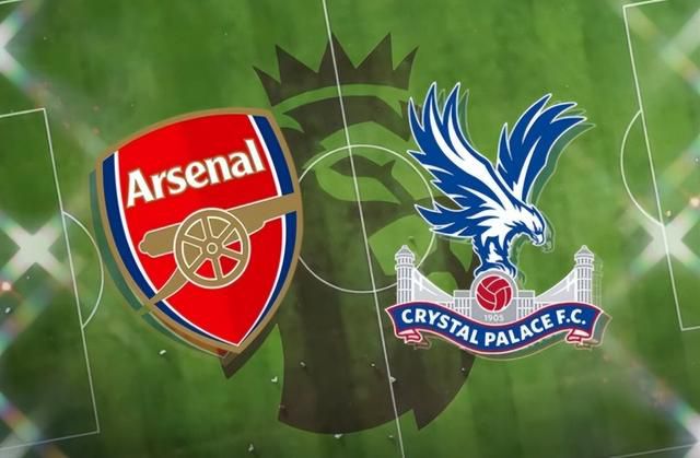 阴部videoshd