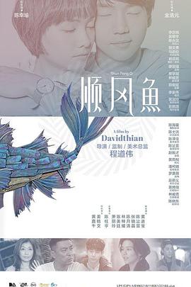 免费版网站