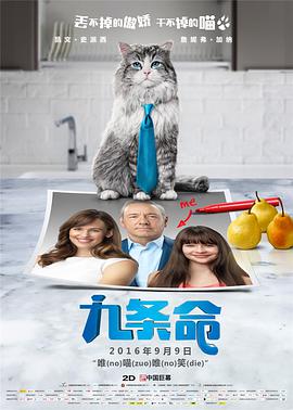 国产精品成人v