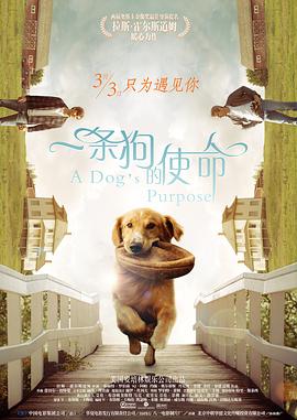 少妇美女视频网站