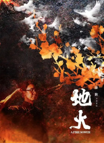 精品视频在线播放