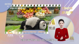 午夜亚洲天堂